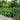 Decorative Garden Fence 44cm (H) x 3m (L)